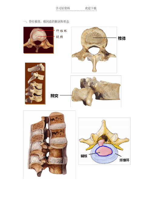 pbl案例一知识点总结