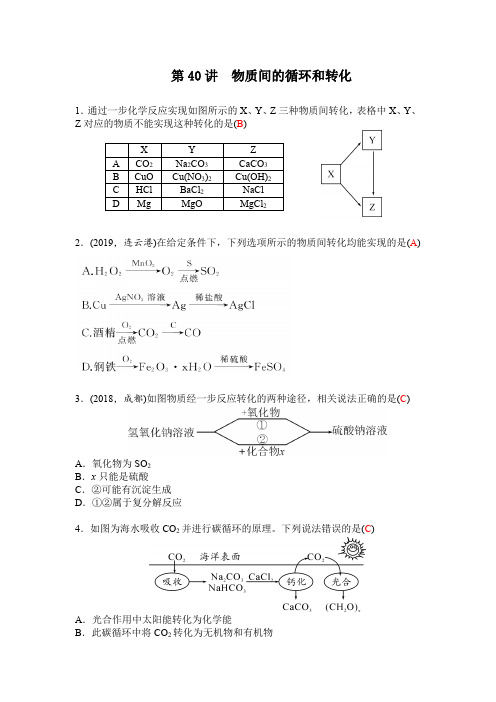 2020年中考科学复习精讲练习第40讲 物质间的循环和转化