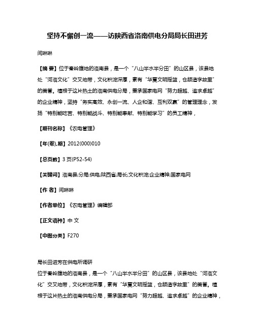 坚持不懈创一流——访陕西省洛南供电分局局长田进芳