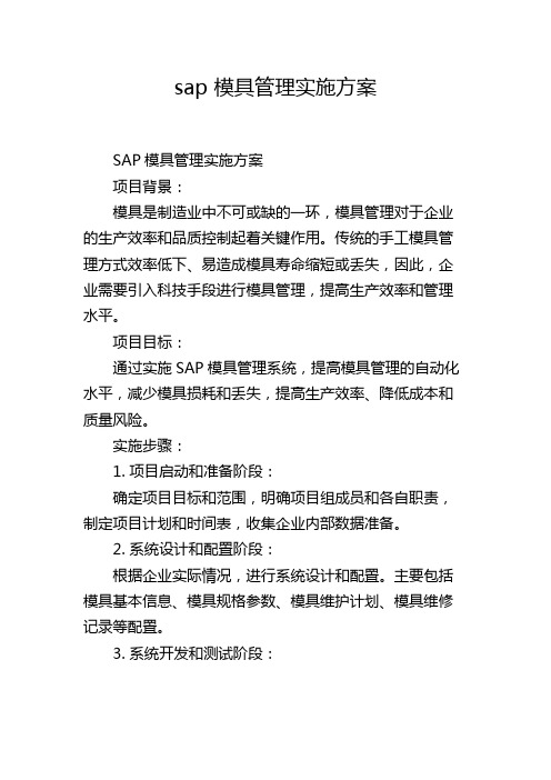 sap 模具管理实施方案