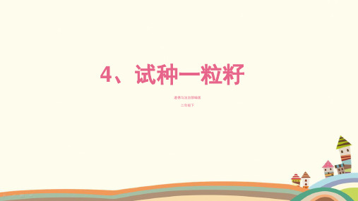 部编版道德与法治2年级下册《4.试种一粒籽1》全部课时PPT课件