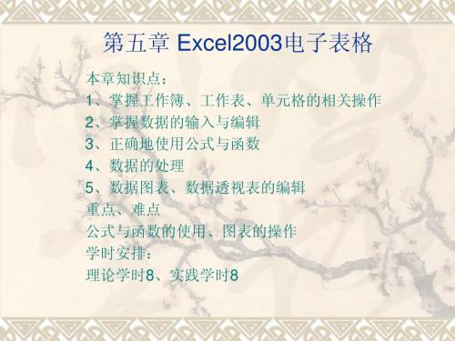 第五章 Excel2003电子表格