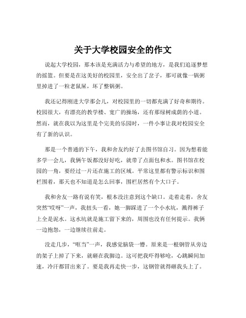 关于大学校园安全的作文