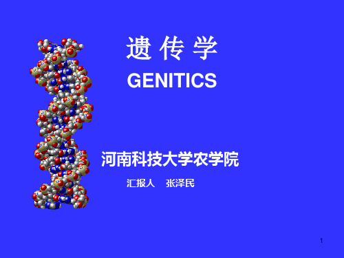 河南科技大学农学院