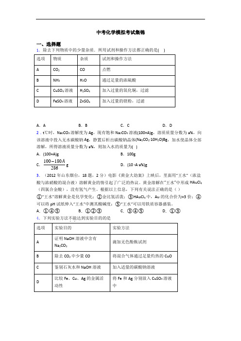 中考化学模拟考试集锦