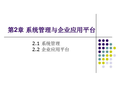 系统管理与企业应用平台概述