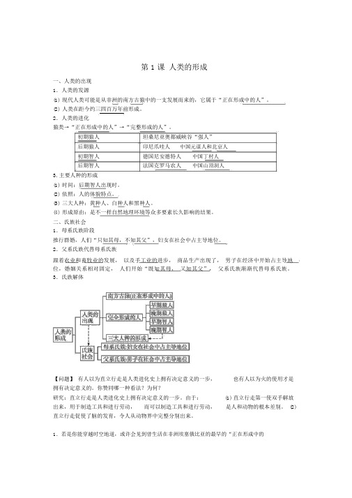 九年级历史上册第1课人类的形成导学案新人教版