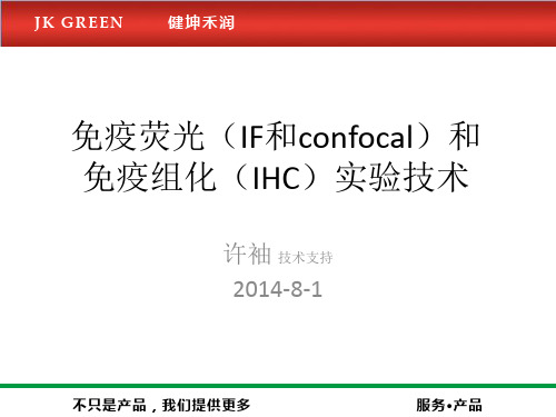 免疫荧光(IF和confocal)和免疫组化(IHC)