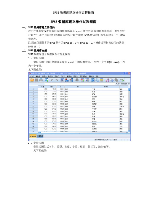 SPSS数据库建立操作过程指南