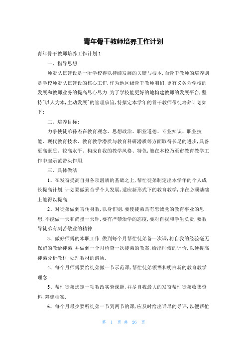 青年骨干教师培养工作计划