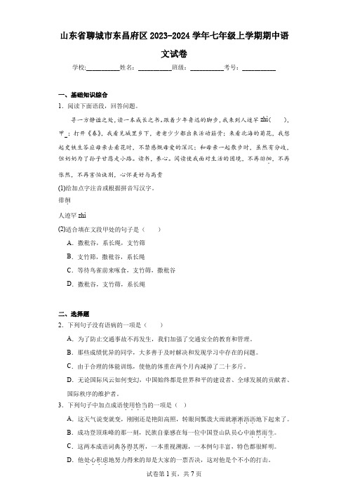 山东省聊城市东昌府区2023-2024学年七年级上学期期中语文试卷