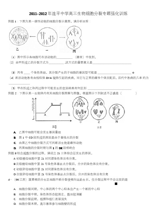 细胞分裂图像专题