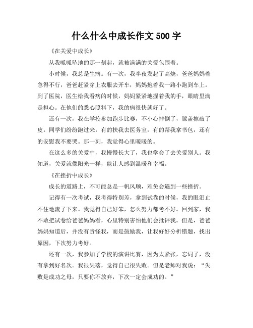 什么什么中成长作文500字