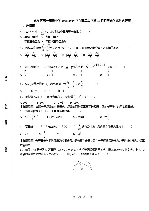 永年区第一高级中学2018-2019学年高三上学期11月月考数学试卷含答案