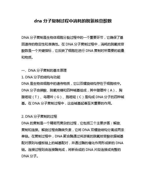 dna分子复制过程中消耗的脱氧核苷酸数