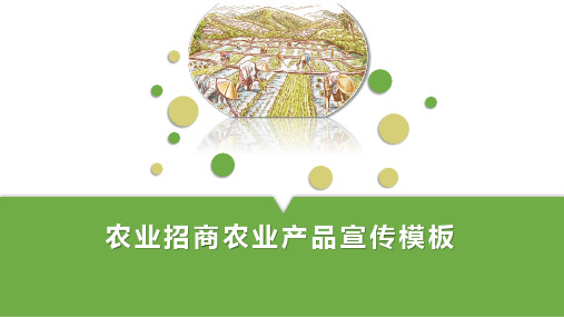 农业招商农业产品宣传模板