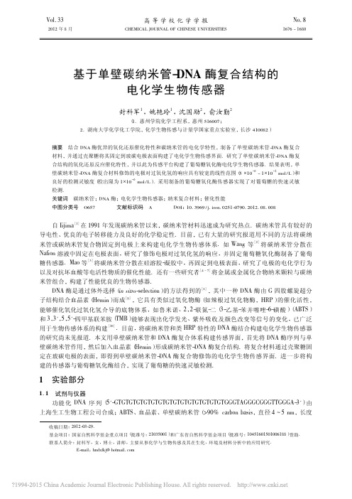 基于单壁碳纳米管_DNA酶复合结构的电化学生物传感器_封科军