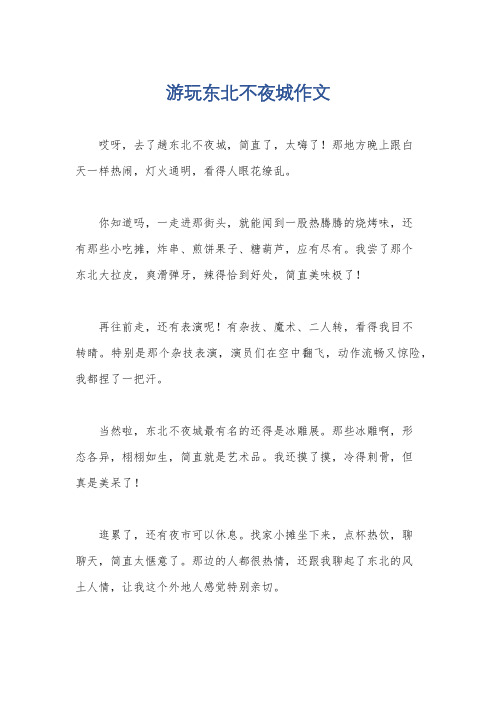 游玩东北不夜城作文