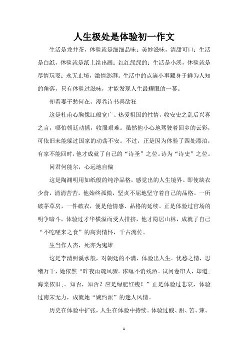 人生极处是体验初一作文(完整版)