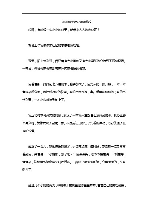 小小感受收获满满作文