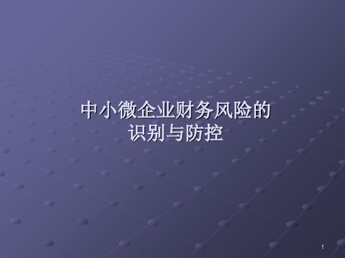 中小微企业财务风险的识别与防控概述(ppt 66页)