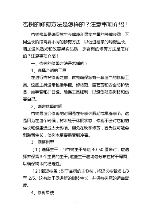 杏树的修剪方法是怎样的？注意事项介绍!