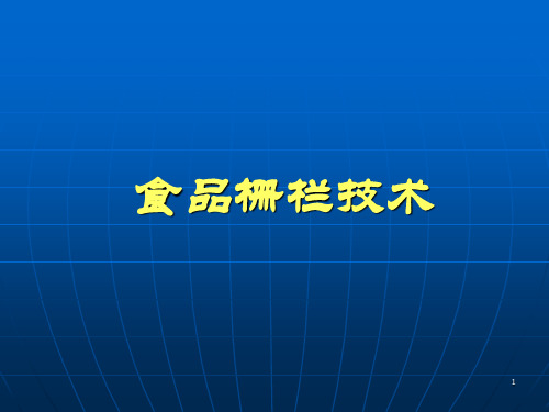 栅栏技术ppt课件