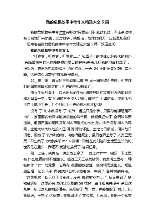 我的危机故事中考作文精选大全5篇