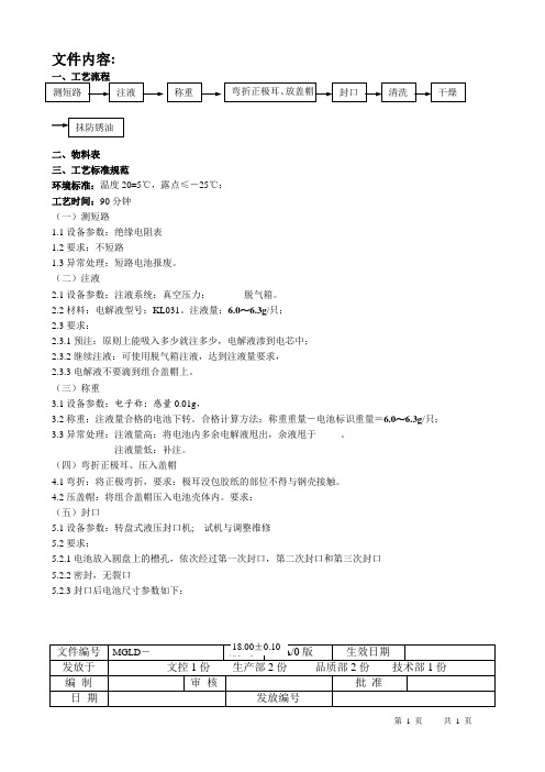 动力电池注液工序工艺流程