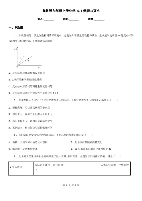 鲁教版九年级上册化学 6.1燃烧与灭火