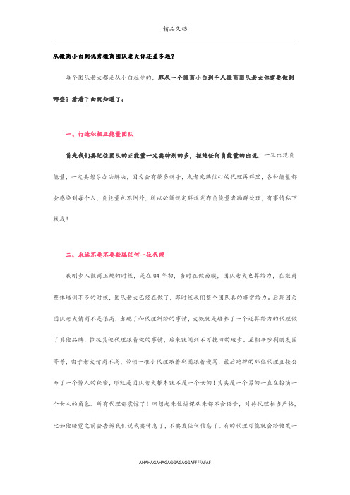 从微商小白到优秀微商团队老大你还差多远-2003 文档