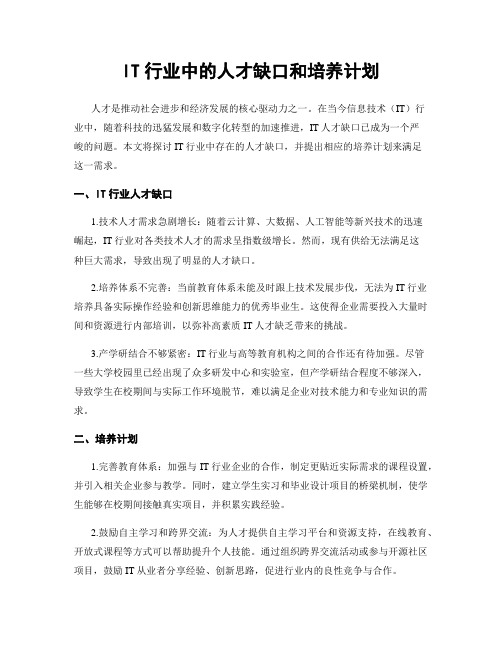 IT行业中的人才缺口和培养计划