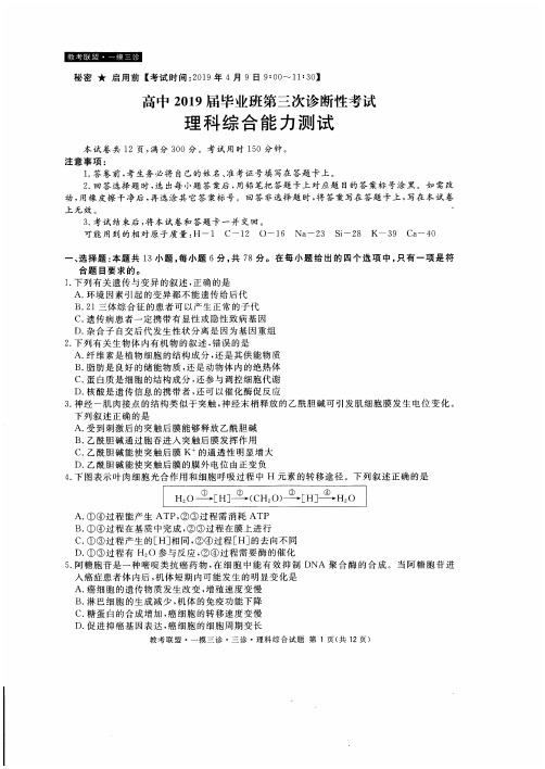 2019届四川省教考联盟高三第三次诊断性考试理科综合试题(详细答案)【精编】