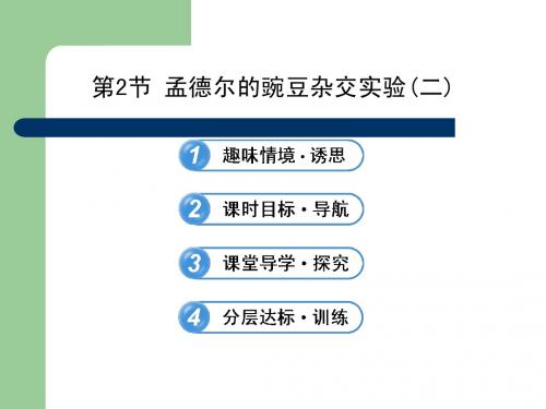 导学讲练通 2013高一生物精品课件：1.2