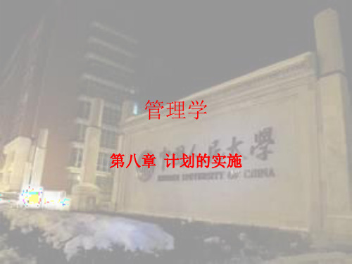 管理学之计划的实施课件