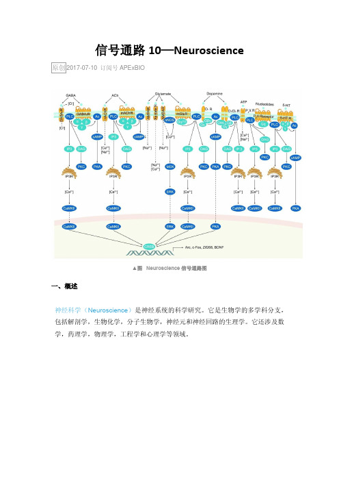 信号通路10—Neuroscience