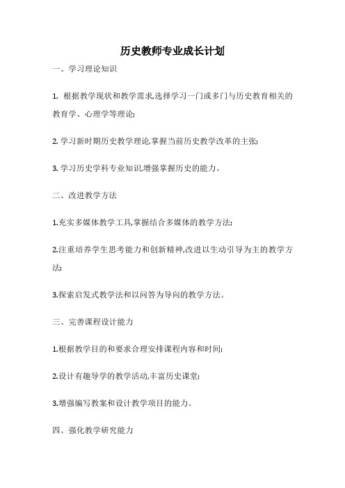 历史教师专业成长计划