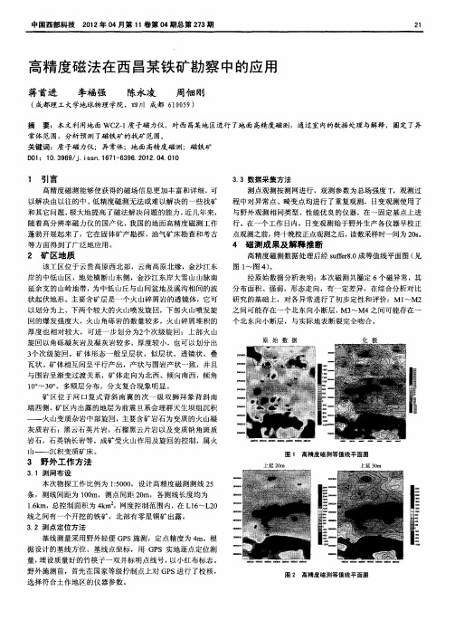 高精度磁法在西昌某铁矿勘察中的应用