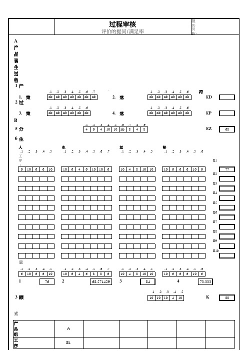 VDA6.3过程审核表(标准版本)