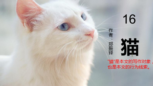 第16课《猫》 部编版语文七年级上册