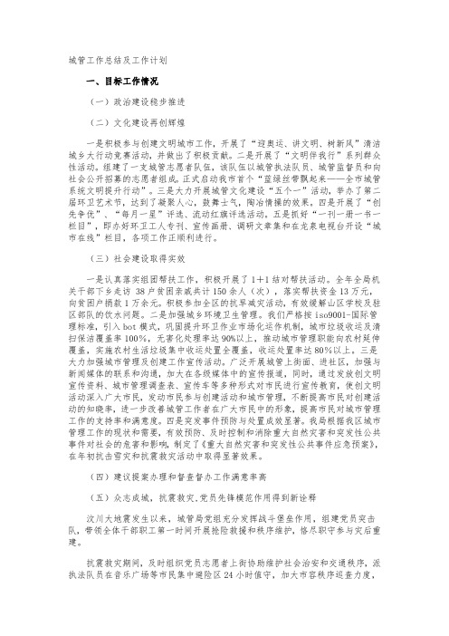 城管工作总结及工作计划