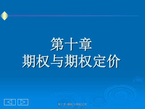 第十章-期权与期权定价课件