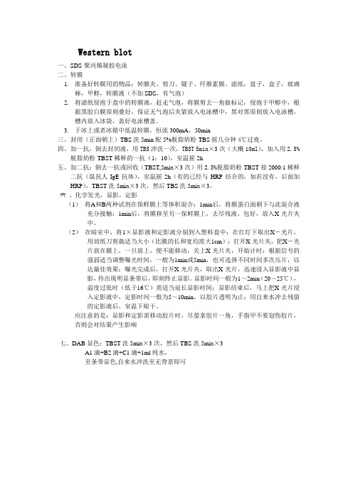 western blot 免疫印迹方法