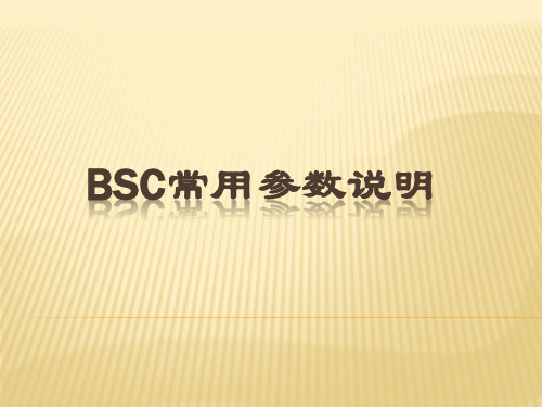 BSC常用参数