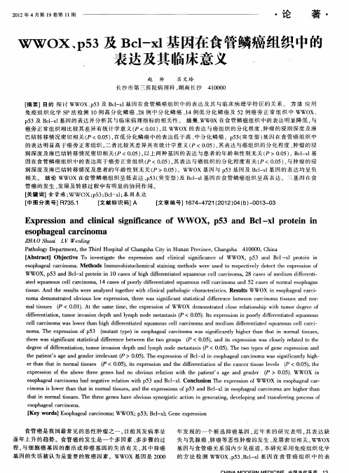 WWOX、p53及Bcl-xl基因在食管鳞癌组织中的表达及其临床意义