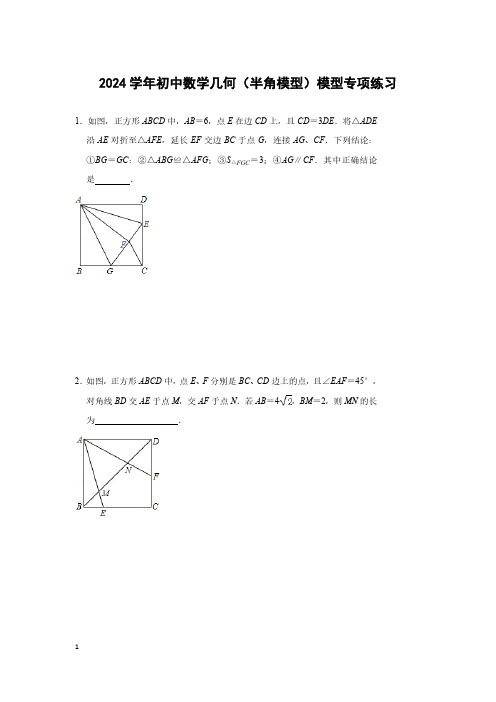 2024学年初中数学几何(半角模型)模型专项练习