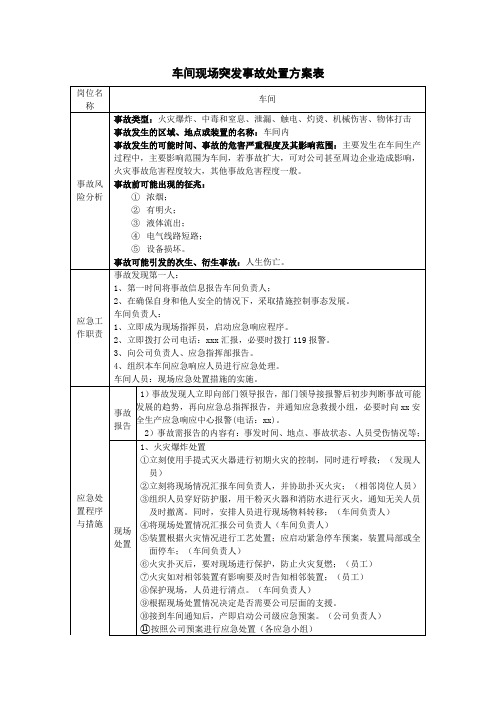 车间现场突发事故处置方案表