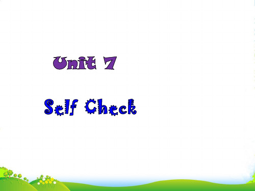 人教版英语(浙江)九年级上册课件：Unit 7Selfcheck(共24张PPT)