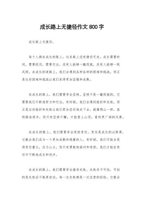 成长路上无捷径作文800字