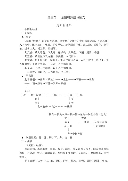 足阳明胃经经络与腧穴(一)